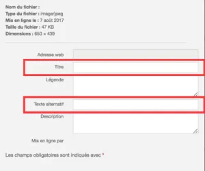 remplir attributs alt image