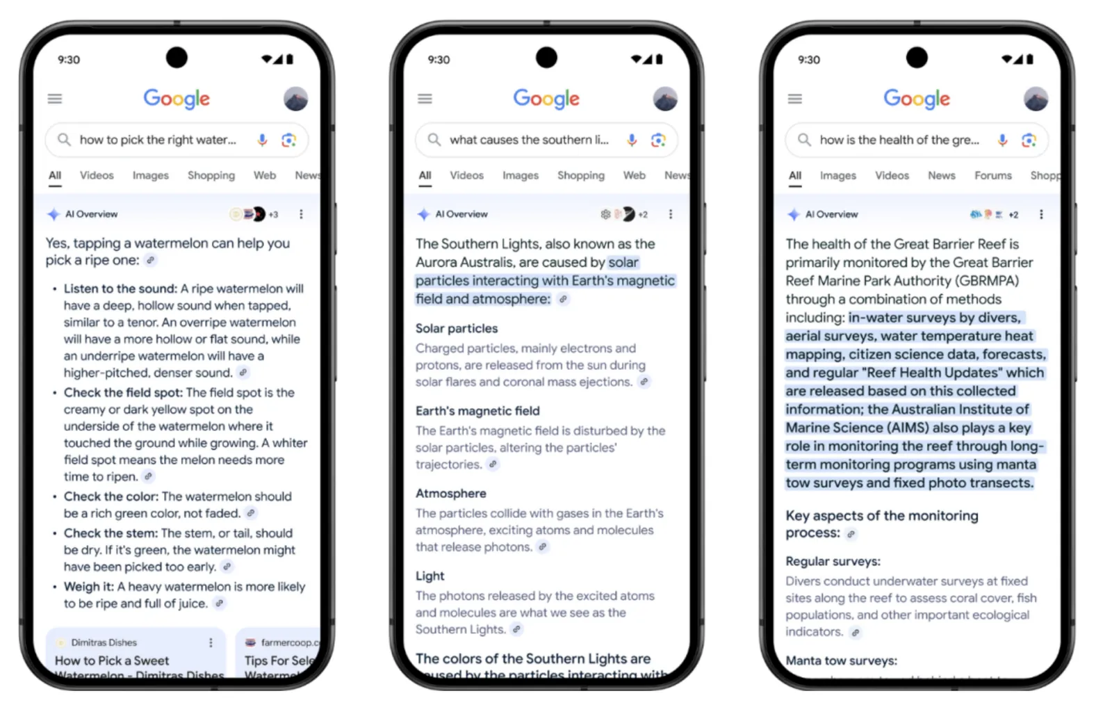 Google AI Overview